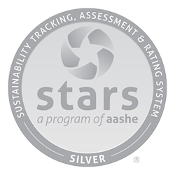 Stars Silver Logo