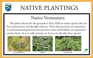 Native Plantings