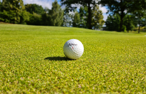 A golf ball sits on the green