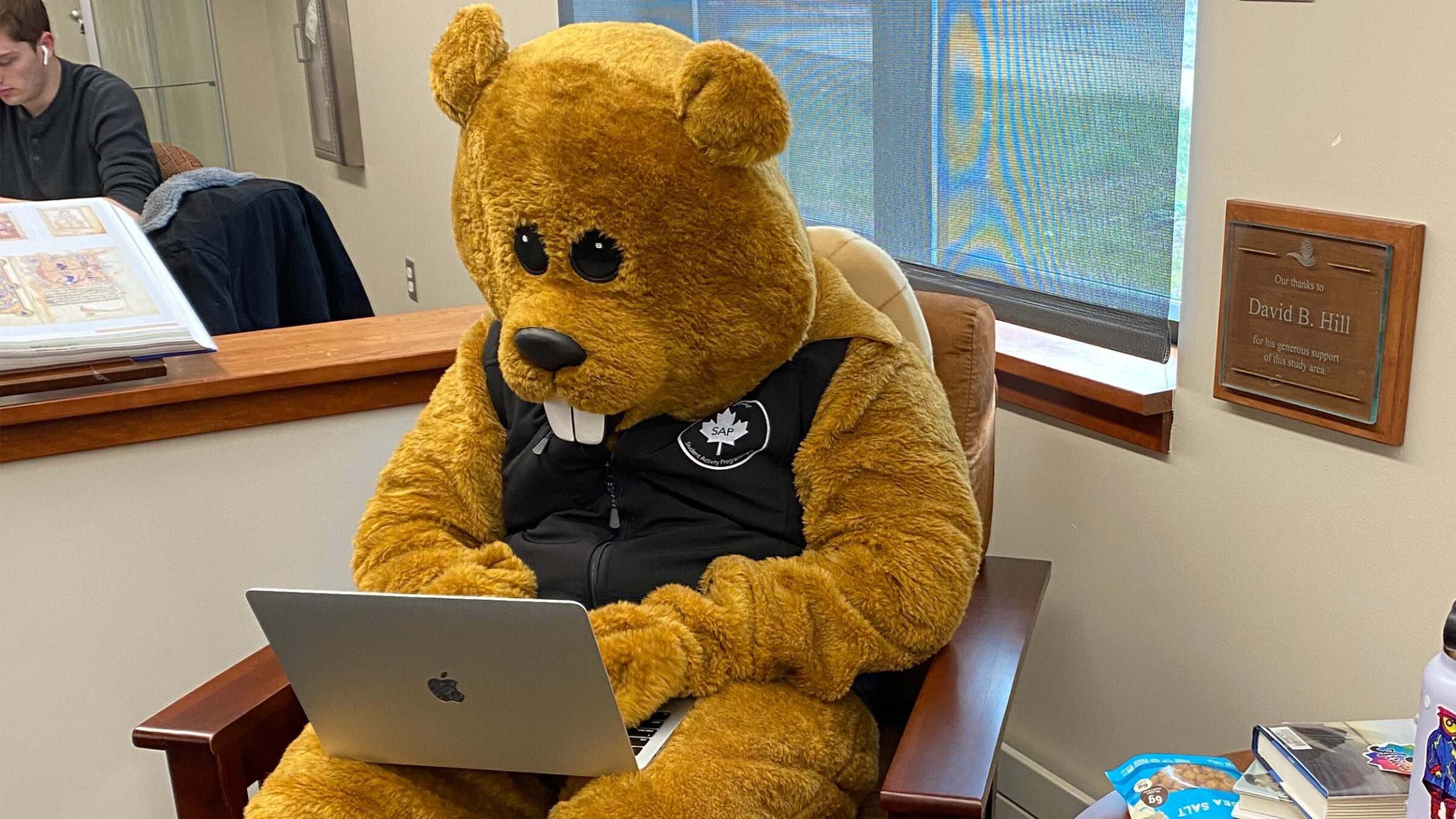 Chauncey the Beaver mascot sits in an armchair and types in a MacBook