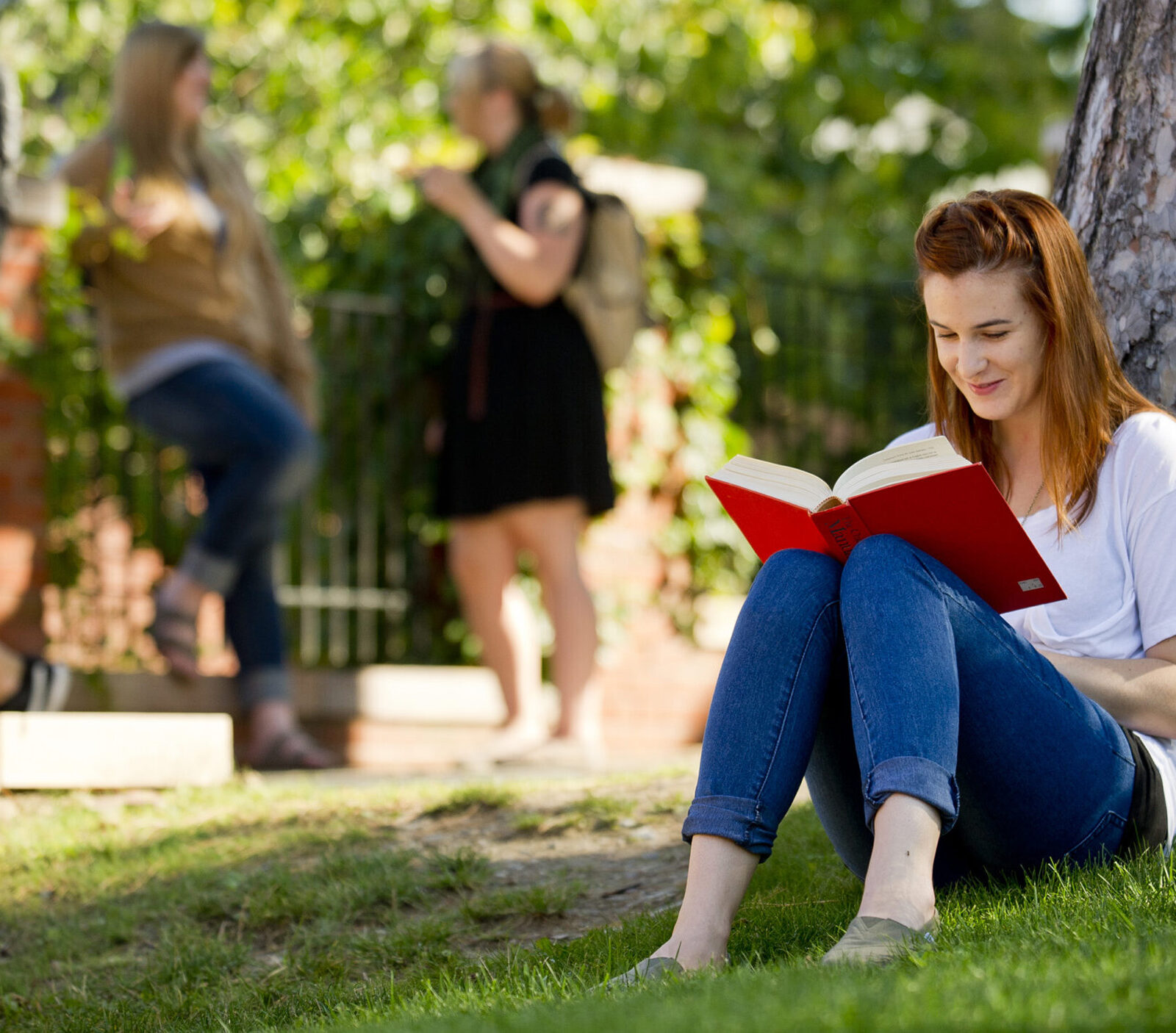 student leans against a tree while reading a book