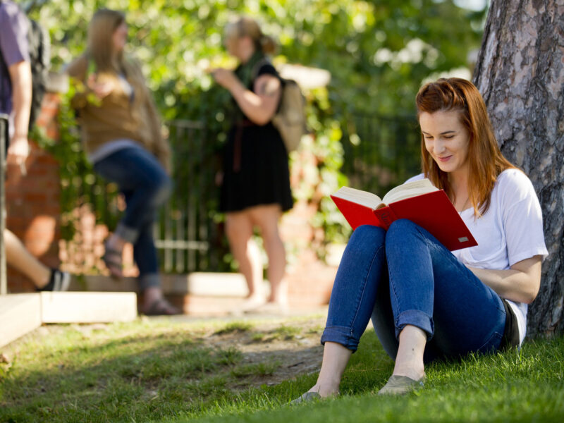 student leans against a tree while reading a book