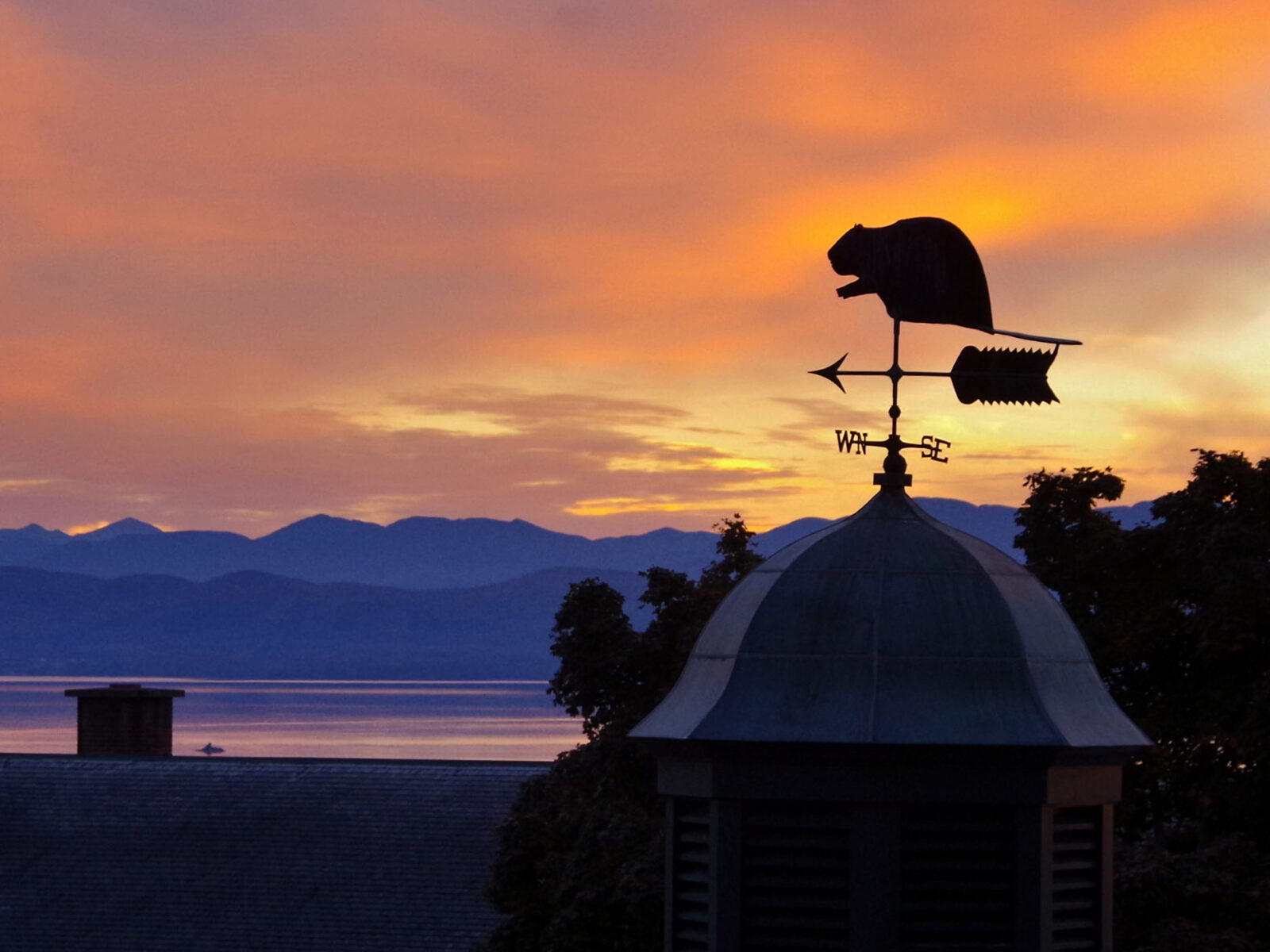 beaver weathervane stop a building during sunset