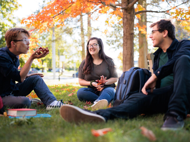 three students sitting on the grass after class, playing with the autumn leaves