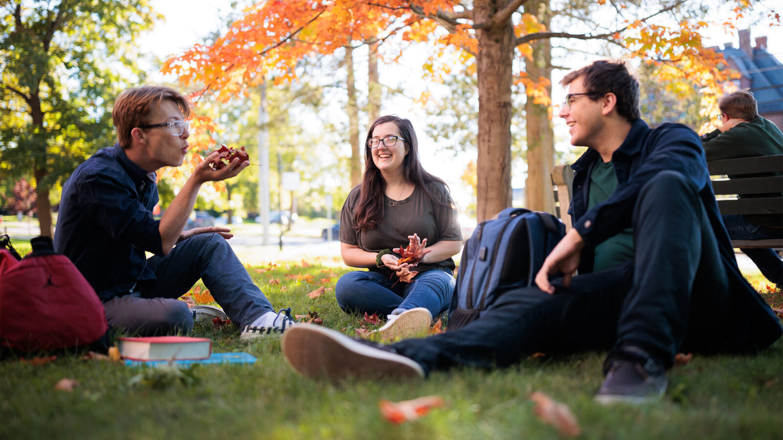Fall Next Steps | Champlain College, Burlington, Vermont