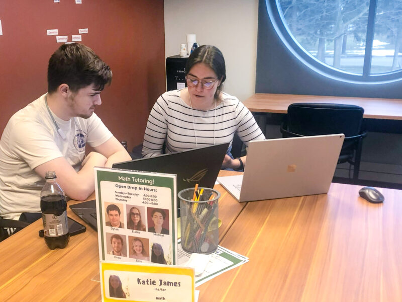 a student tutors another student