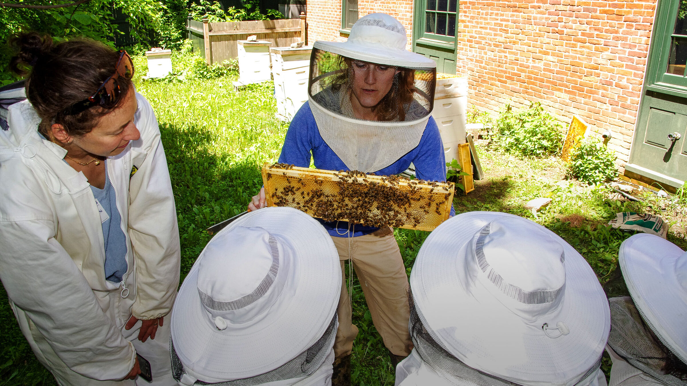 Kristen Wolf teaching a first-grade field trip about the importance of bees