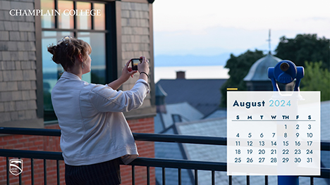 thumbnail size 2024 calendar image for the month of august