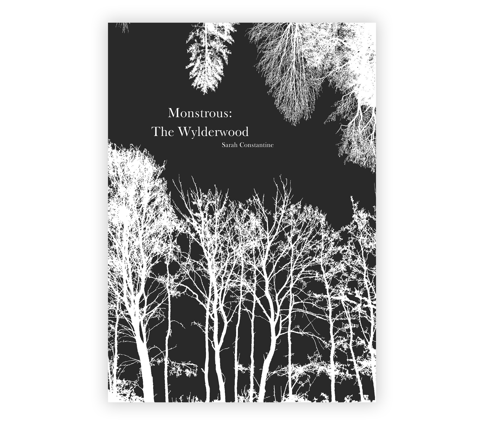 a book cover design from a writing and publishing student's writing project