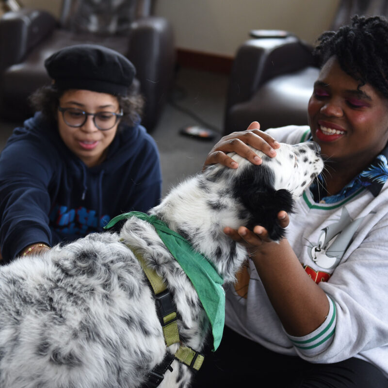 two students smile while petting a black and white spotted therapy dog in the SMART Space