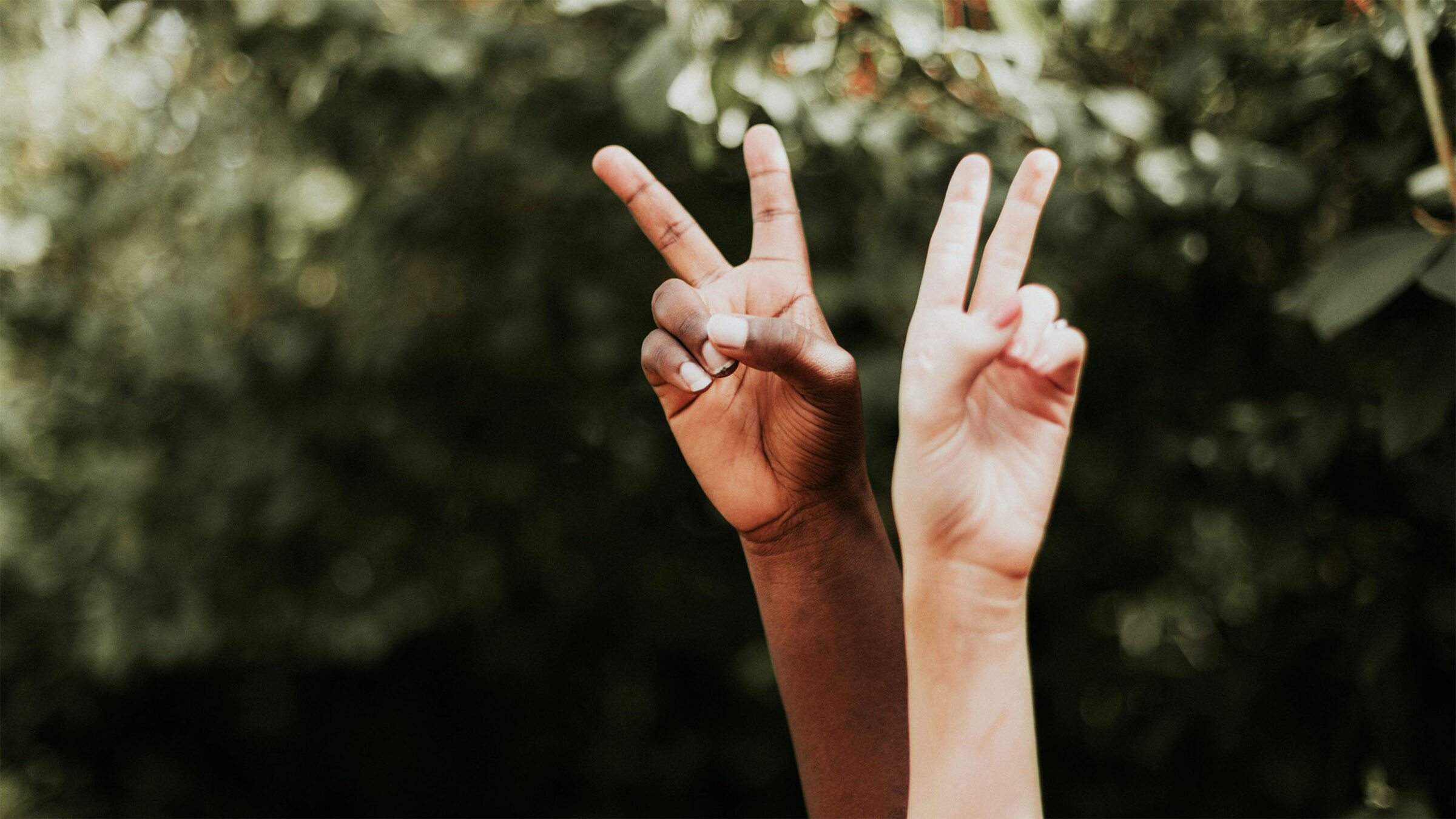 two hands making peace signs