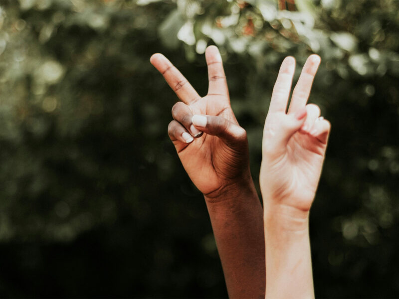 two hands making peace signs