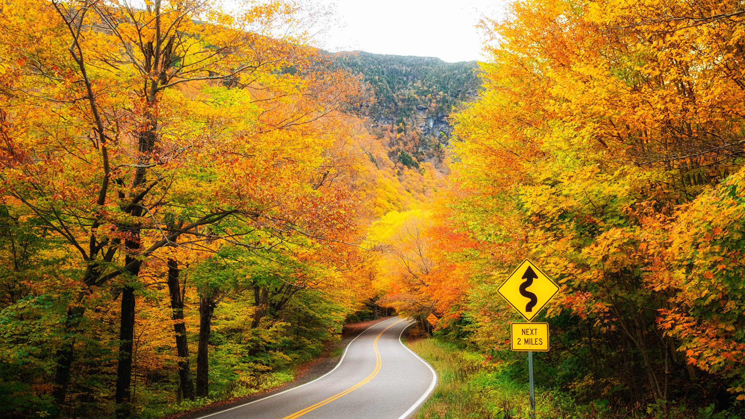 a photo of a road surrounded by yellow fall foliage