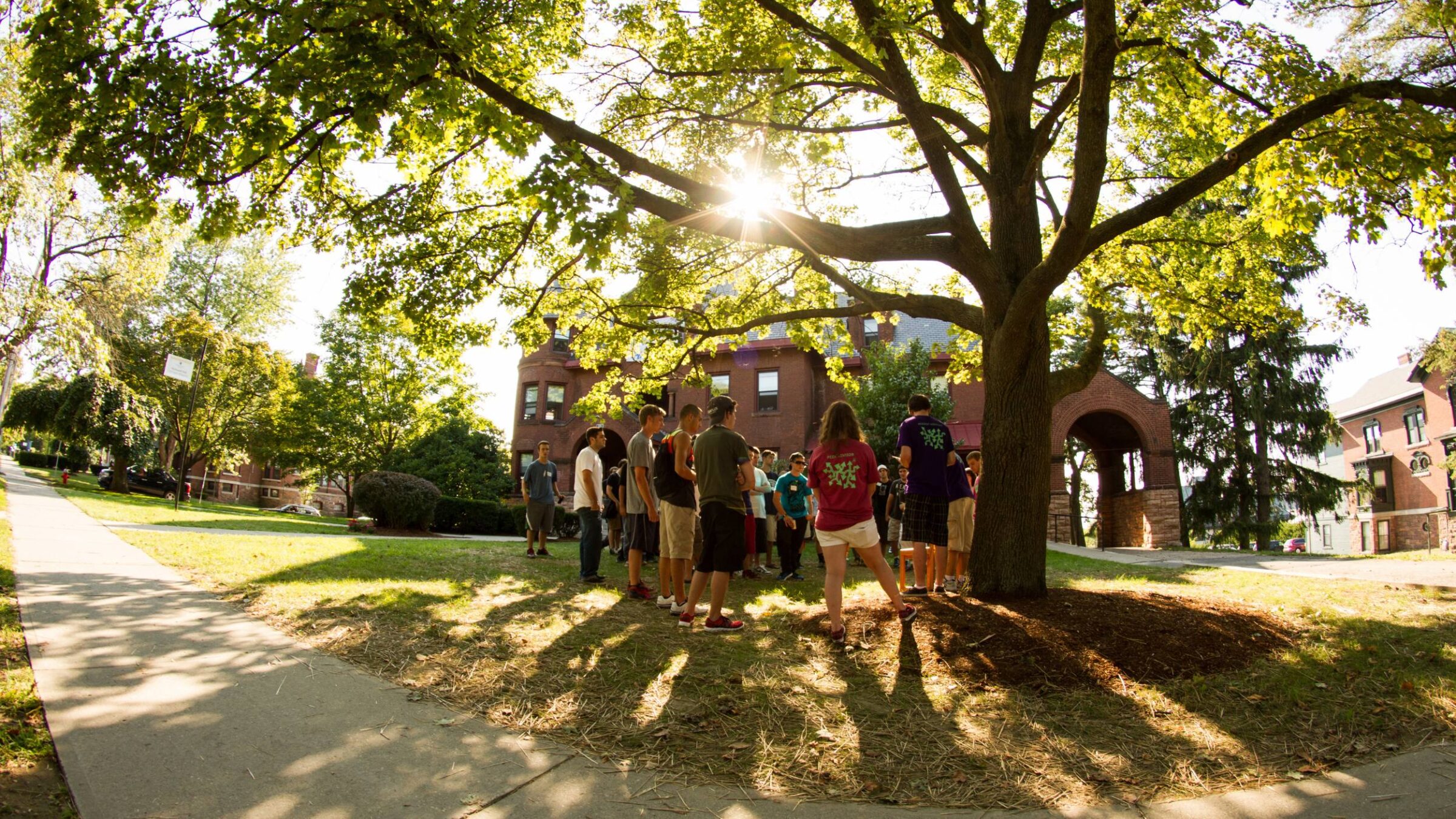 students gathered under a tree in front of a dorm on campus