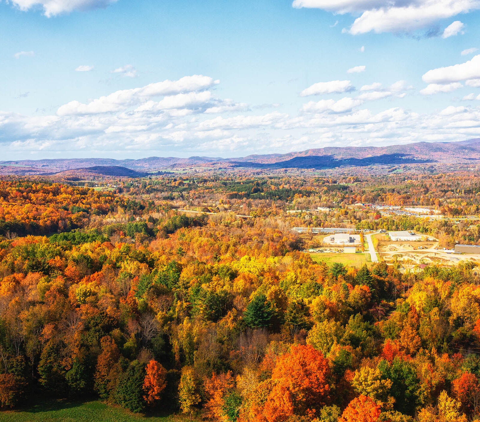 fall leaves on trees in a landscape photo of Vermont