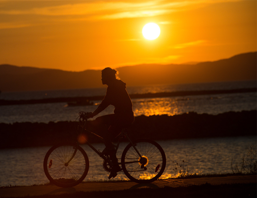 a person riding a bike along the waterfront during a sunset 