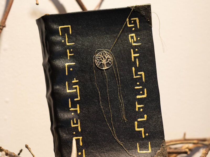 a leather bound book made by a creative media student positioned among tree branches and antlers