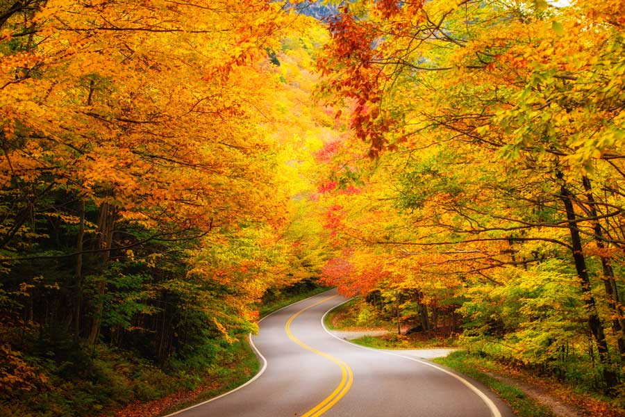 a photo of a windy road through brilliant fall foliage