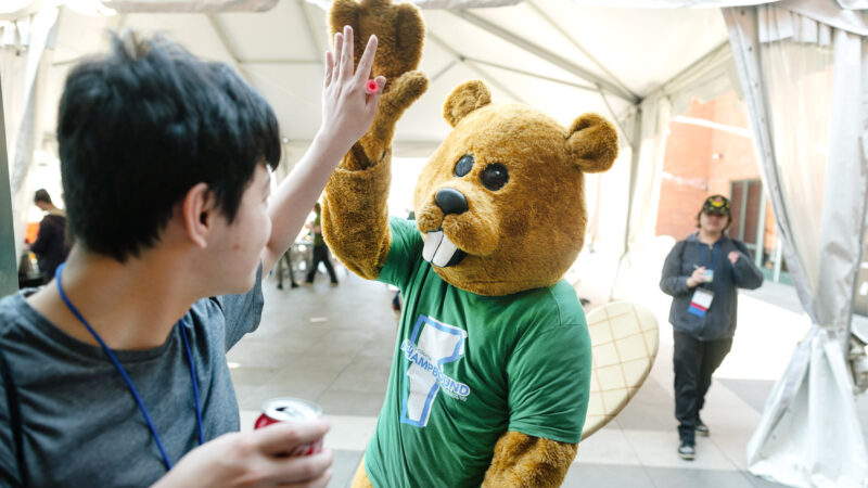 Chauncy the beaver mascot gives a student a high five