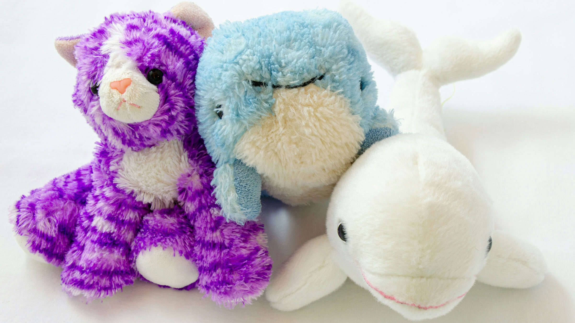 three stuffed animals