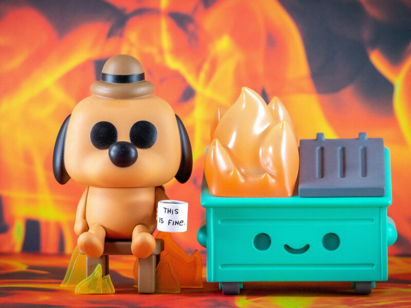 animation meme of a dog next to a dumpster fire with a mug that says "this is fine"