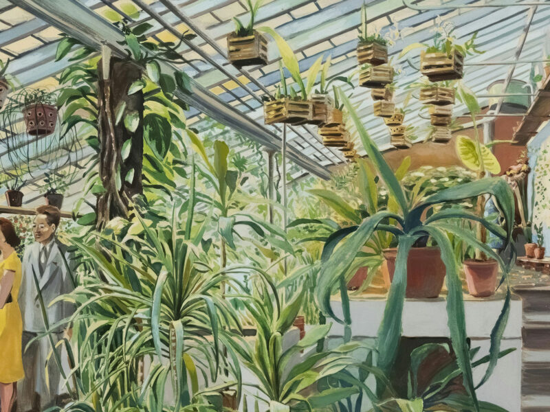 a room overflows with green plants