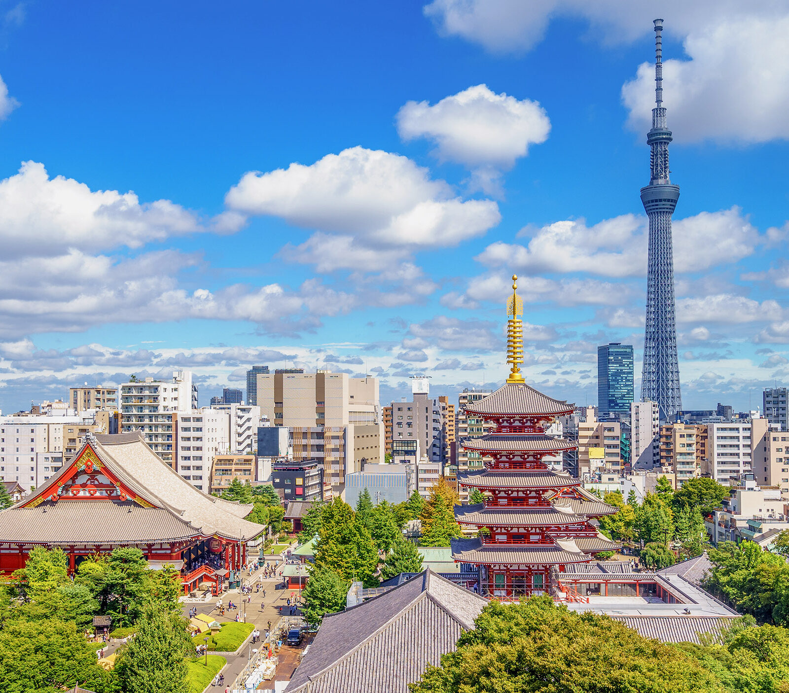 Aerial view of tokyo city with senso temple