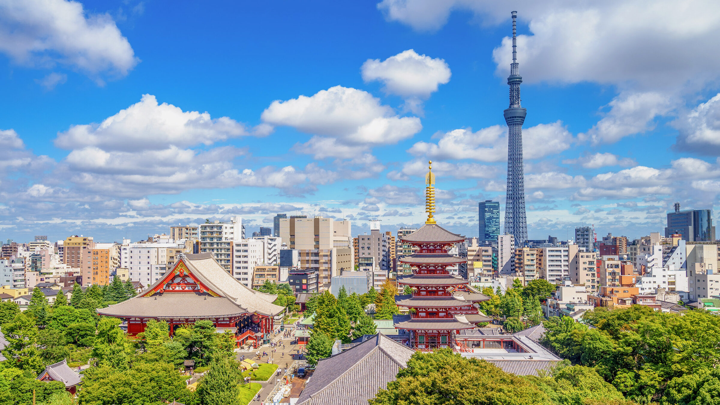 Aerial view of tokyo city with senso temple