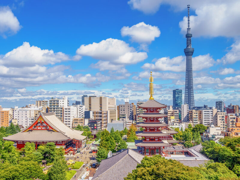 Aerial view of tokyo city with senso temple