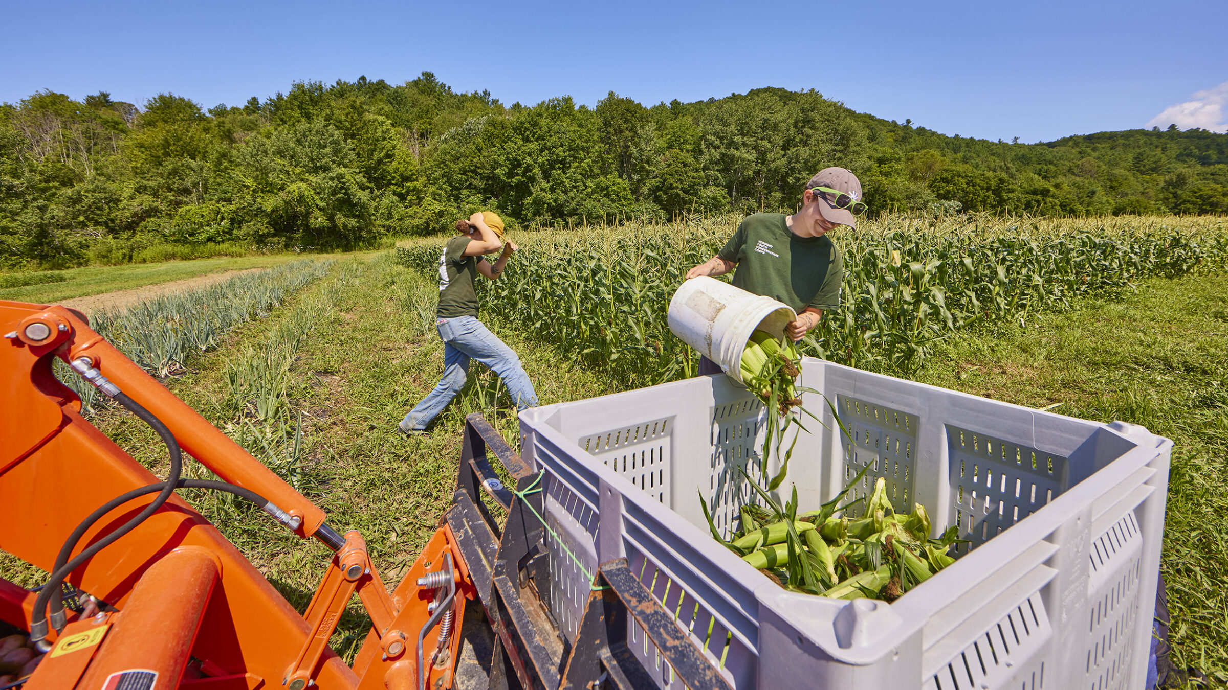 student interns put produce in bin