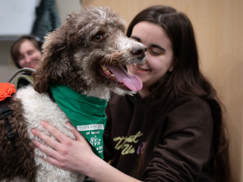 student pets a therapy dog