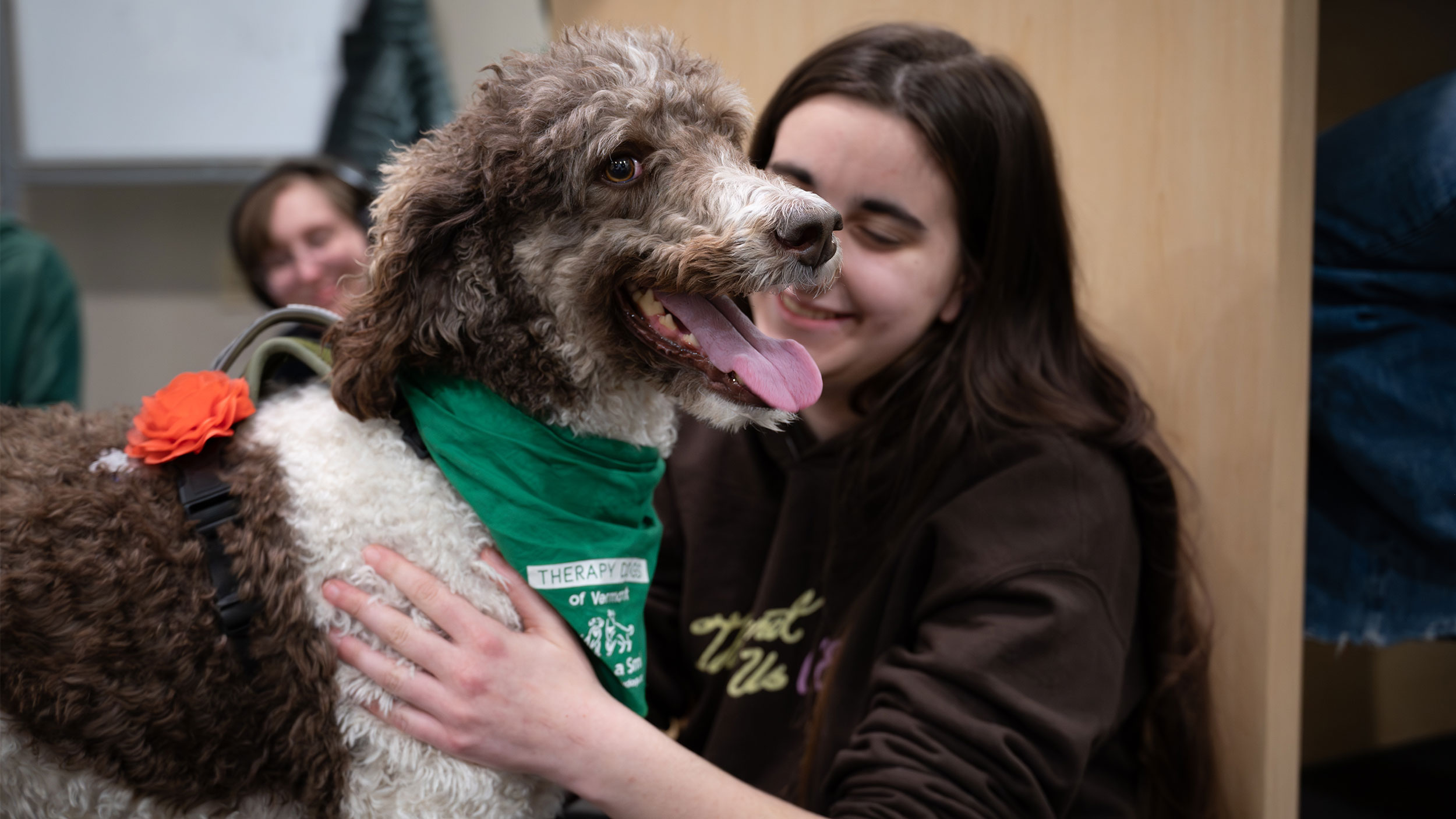 student pets a therapy dog