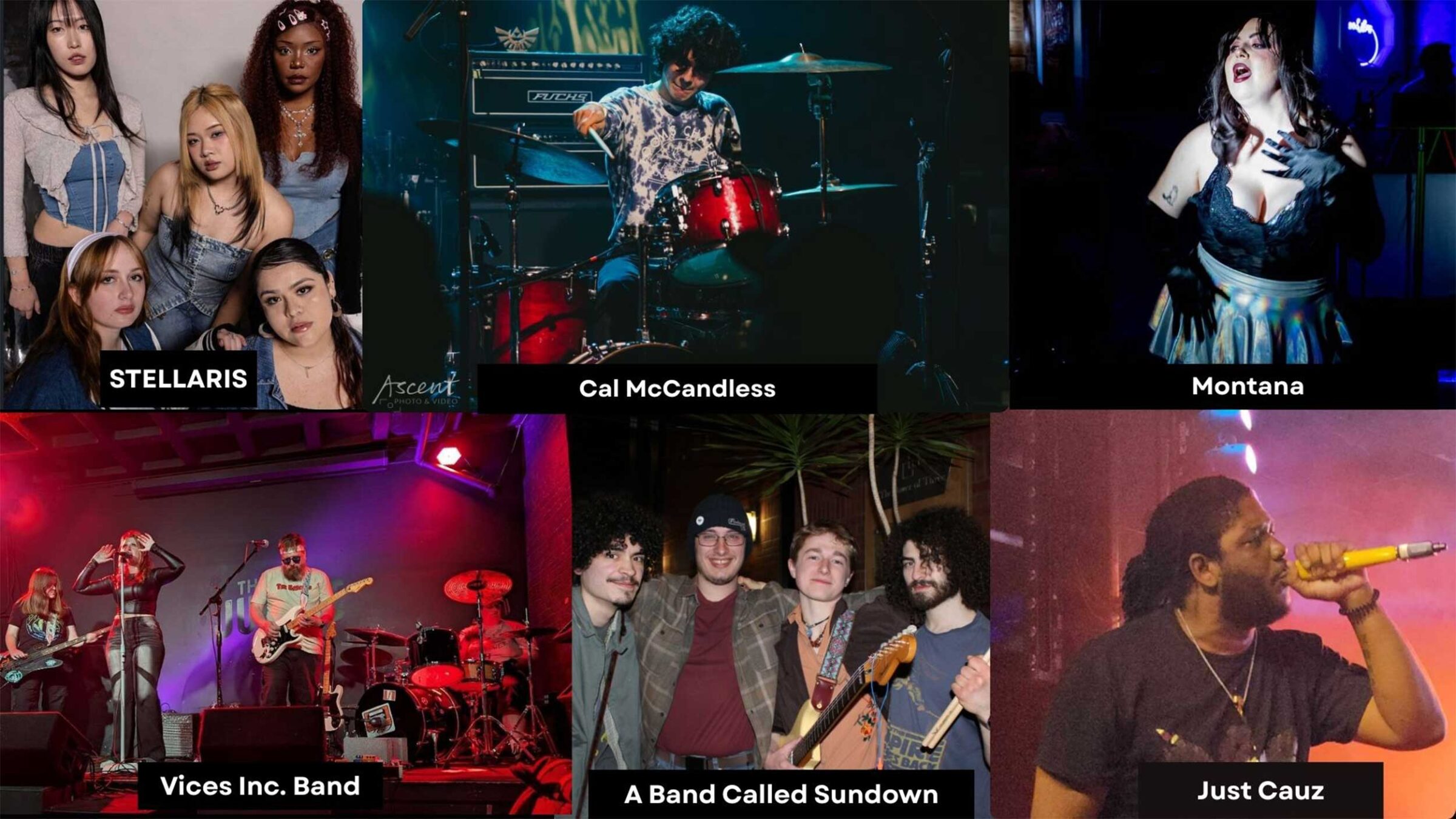 collage of six different bands performing