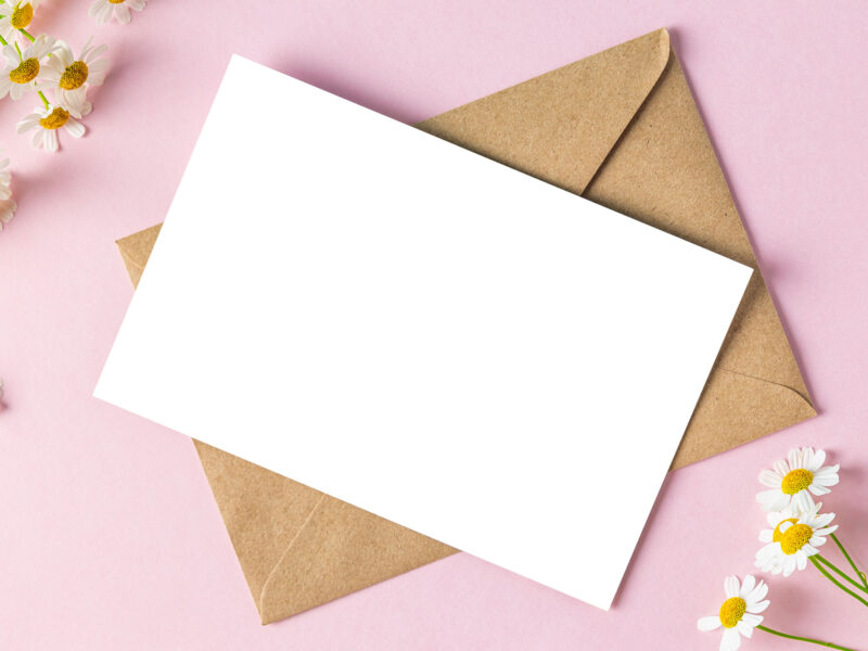 blank card with a brown envelope on a pink surface surrounded by white flowers