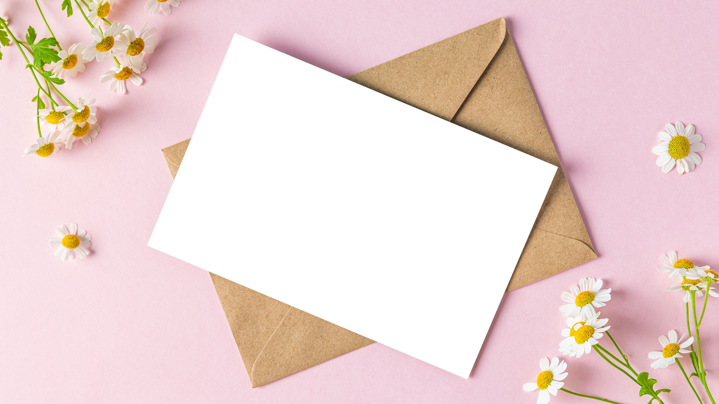 blank card with a brown envelope on a pink surface surrounded by white flowers