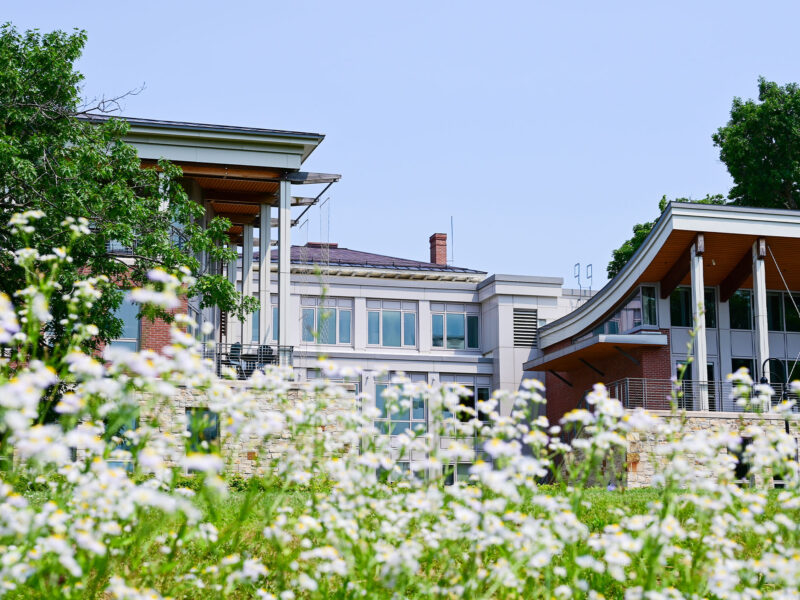 Perry Hall at Champlain College in the spring.