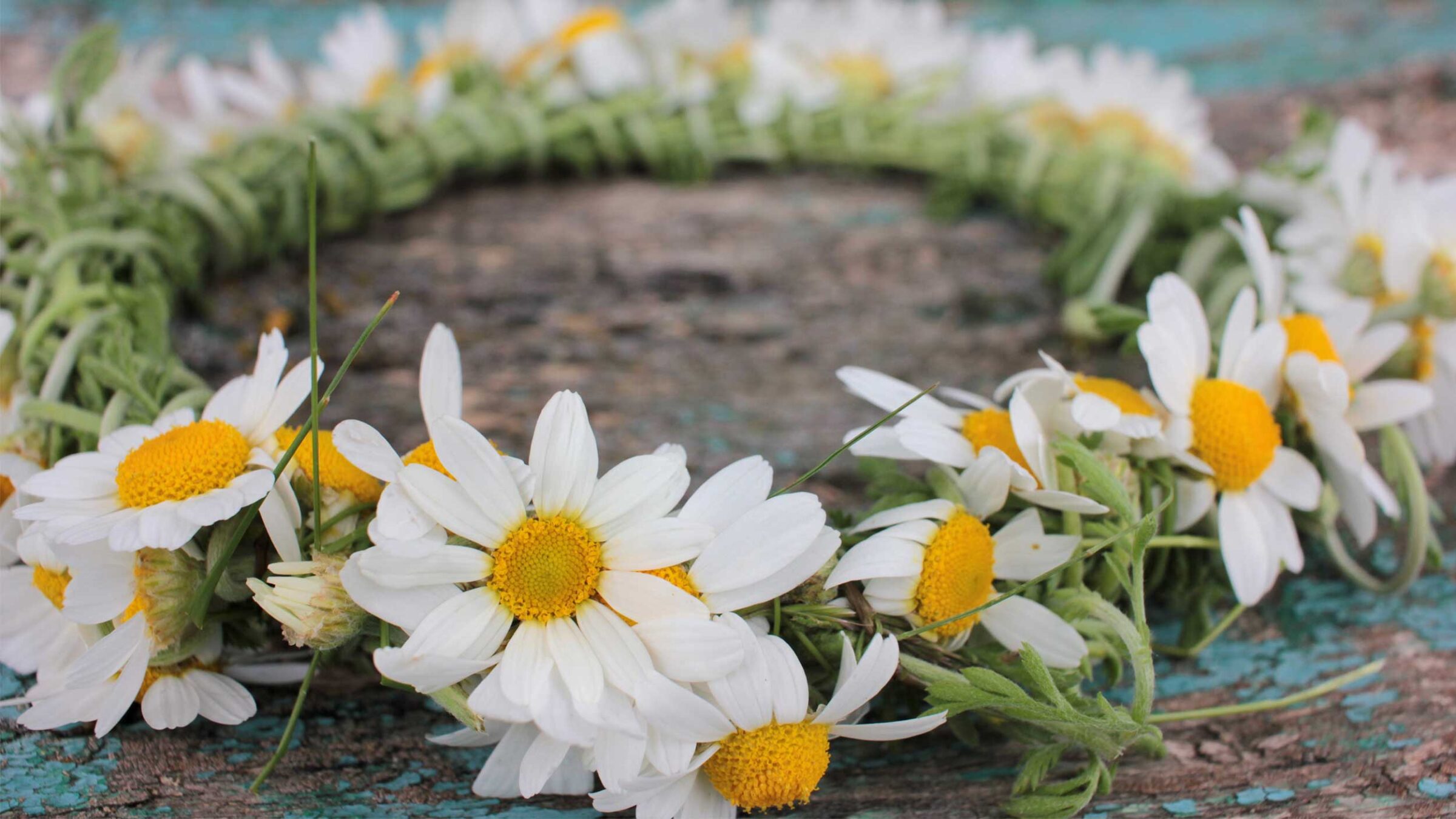 flower crown made with daisies