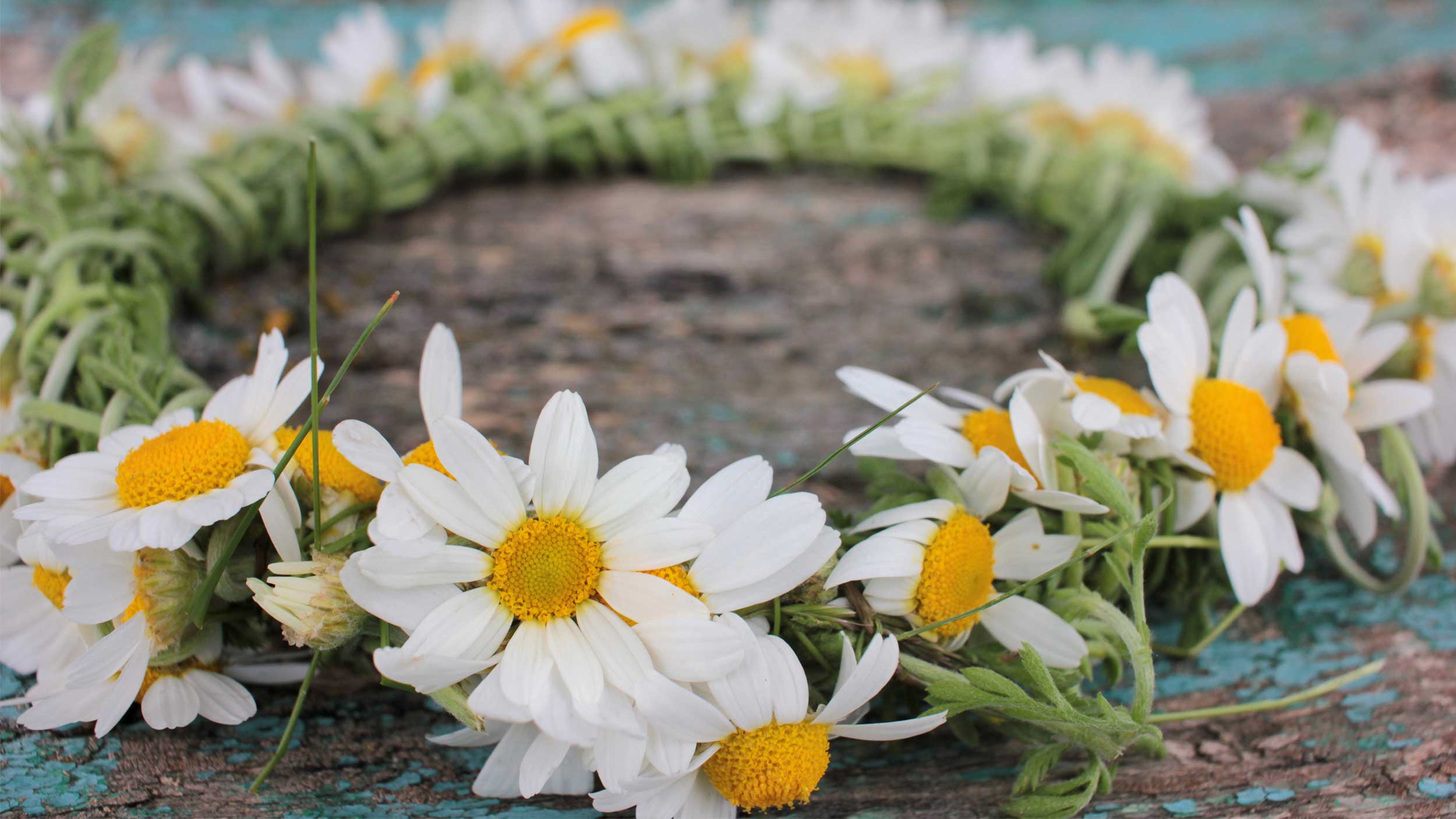 flower crown made with daisies