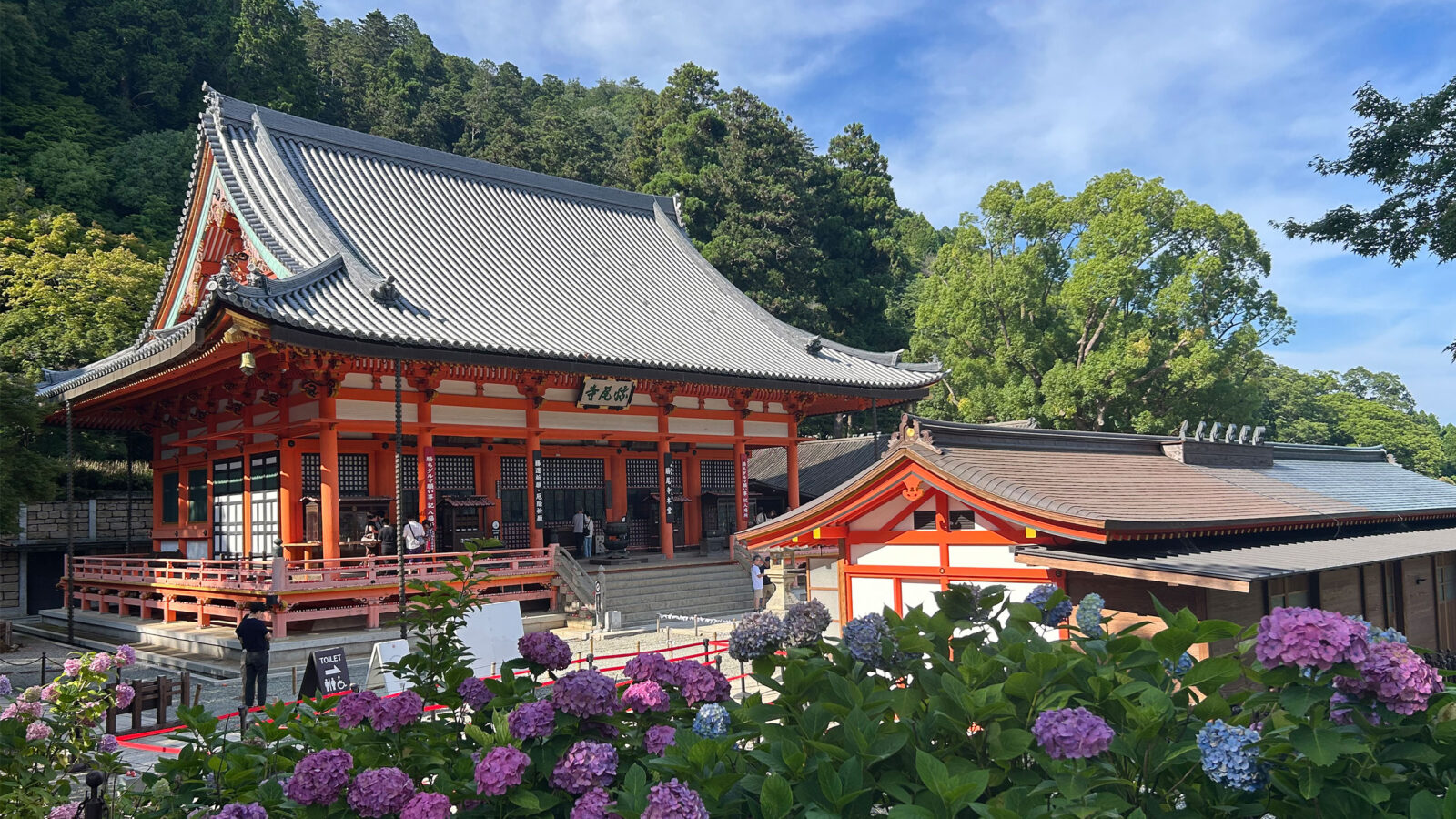 pink flowers, japanese style building, and blue skies