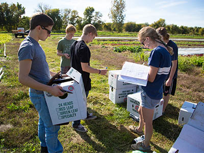 Students working outside on sustainability efforts